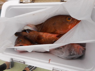 DSCN1029.JPG