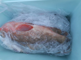 DSCN1074.JPG